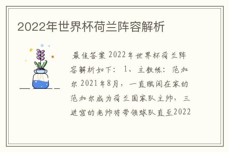 2022年世界杯荷兰阵容解析