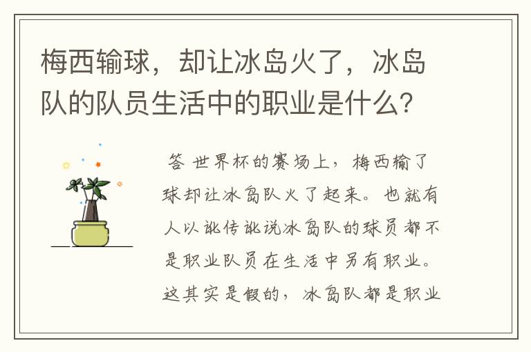 梅西输球，却让冰岛火了，冰岛队的队员生活中的职业是什么？