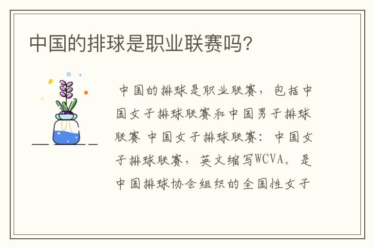 中国的排球是职业联赛吗?