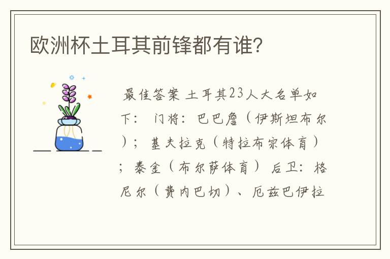 欧洲杯土耳其前锋都有谁？