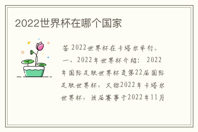 2022世界杯在哪个国家