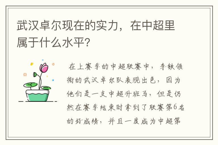 武汉卓尔现在的实力，在中超里属于什么水平？