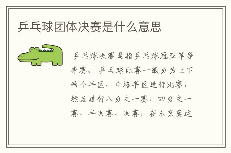 乒乓球团体决赛是什么意思