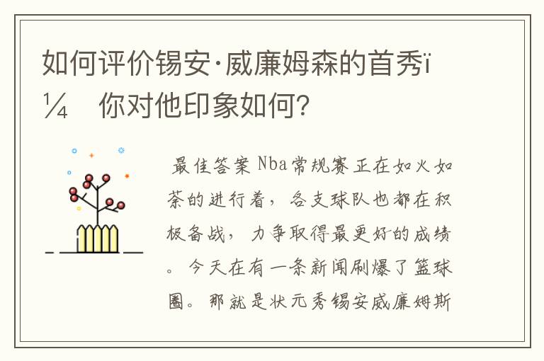 如何评价锡安·威廉姆森的首秀，你对他印象如何？