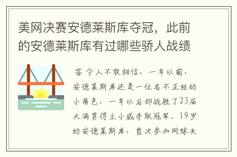 美网决赛安德莱斯库夺冠，此前的安德莱斯库有过哪些骄人战绩？