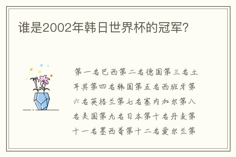 谁是2002年韩日世界杯的冠军？