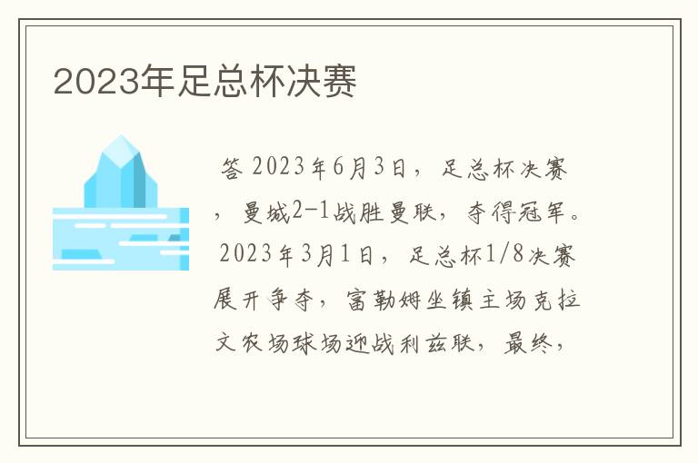 2023年足总杯决赛