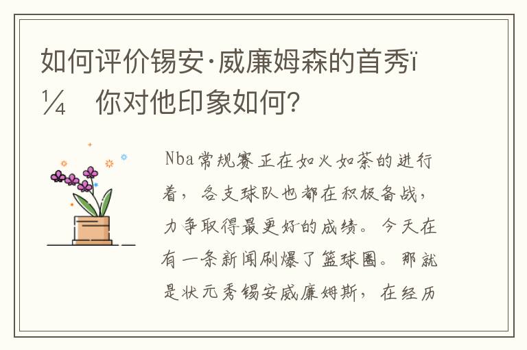 如何评价锡安·威廉姆森的首秀，你对他印象如何？