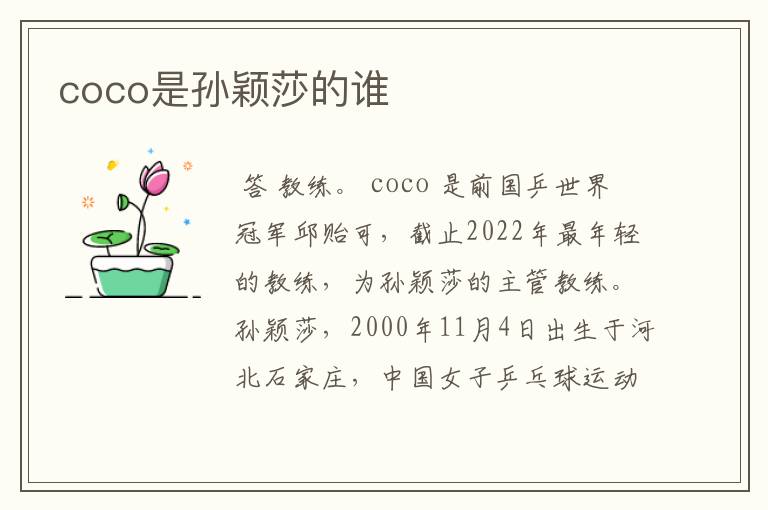 coco是孙颖莎的谁