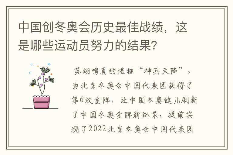 中国创冬奥会历史最佳战绩，这是哪些运动员努力的结果？