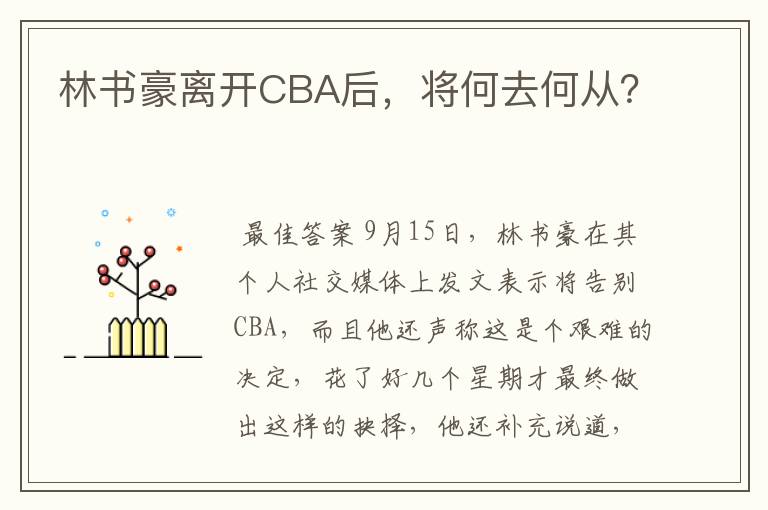 林书豪离开CBA后，将何去何从？