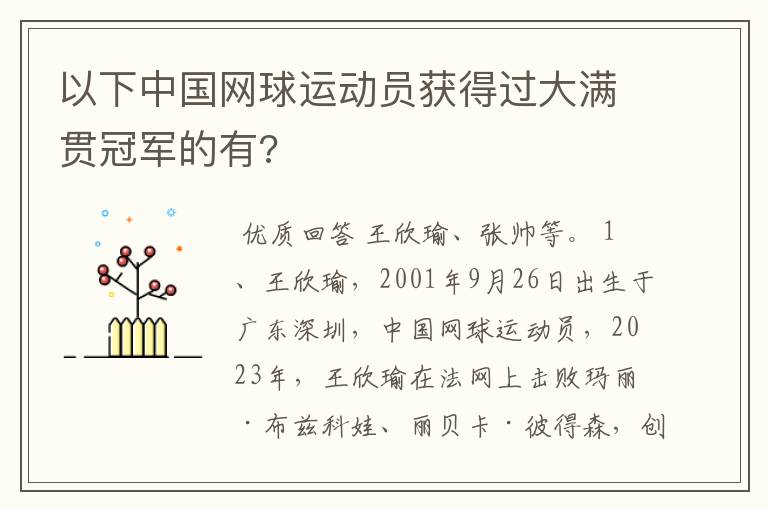 以下中国网球运动员获得过大满贯冠军的有?