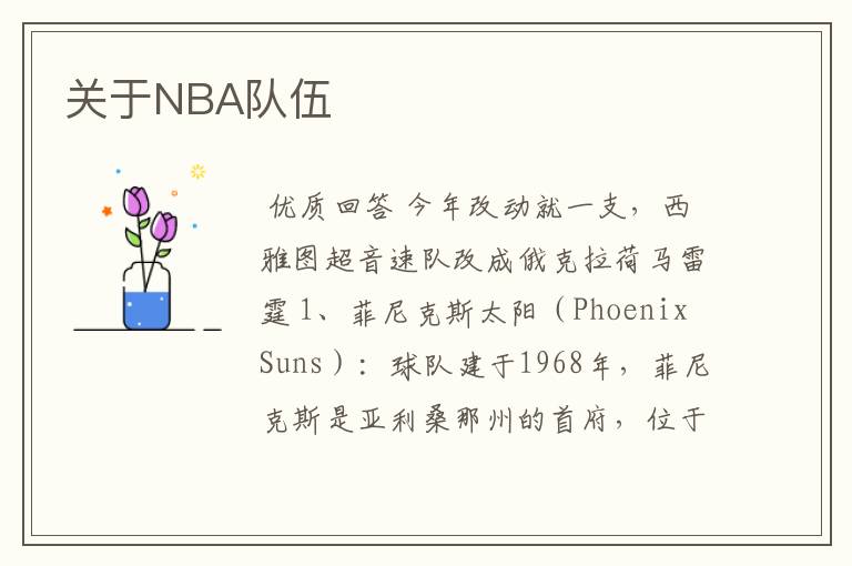 关于NBA队伍