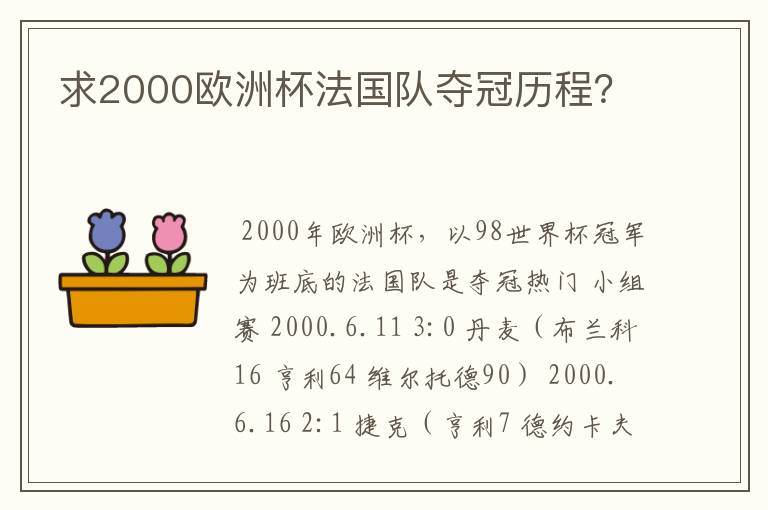 求2000欧洲杯法国队夺冠历程？