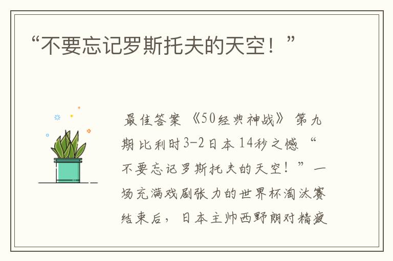 “不要忘记罗斯托夫的天空!”