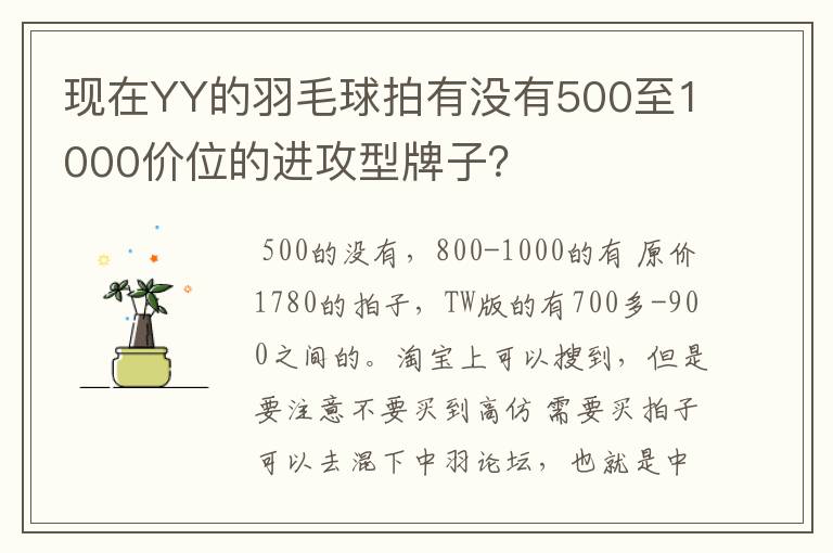 现在YY的羽毛球拍有没有500至1000价位的进攻型牌子？