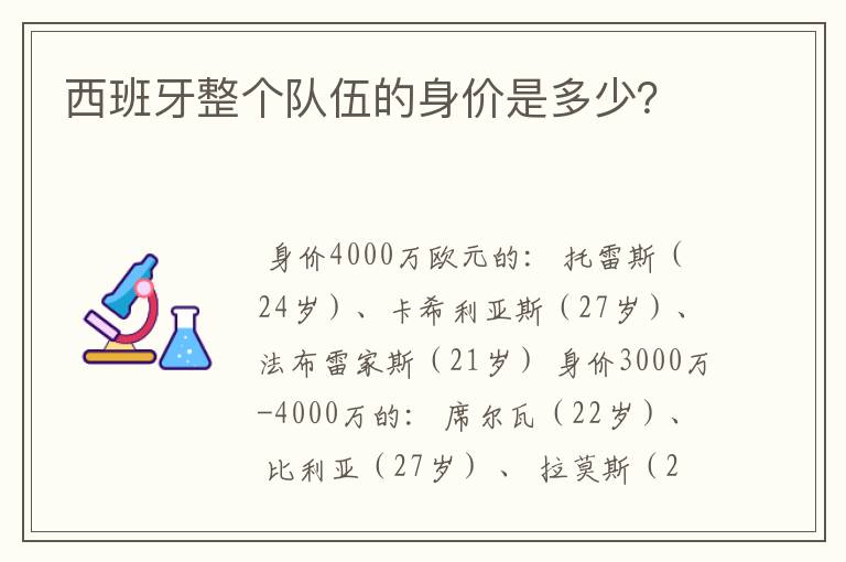 西班牙整个队伍的身价是多少？