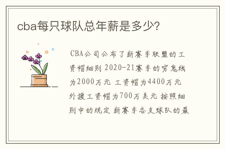 cba每只球队总年薪是多少？