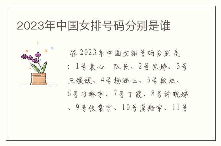 2023年中国女排号码分别是谁