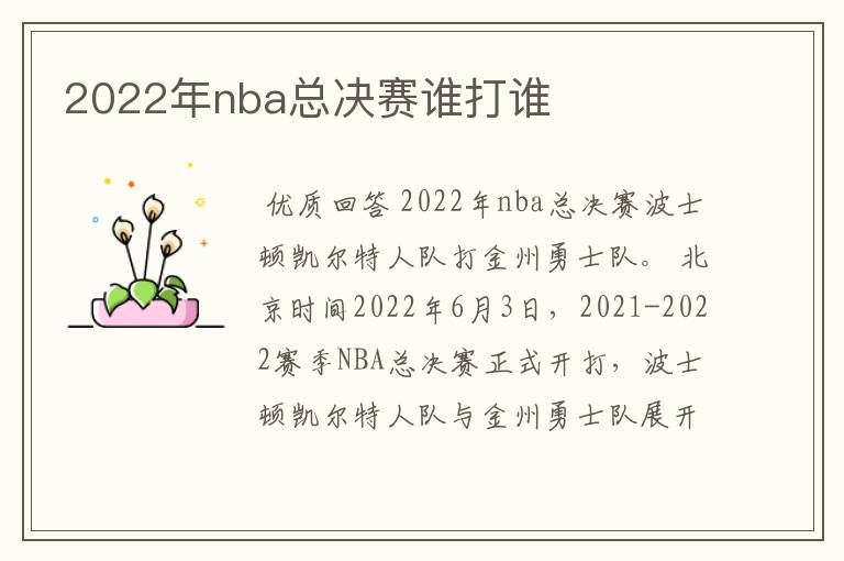 2022年nba总决赛谁打谁