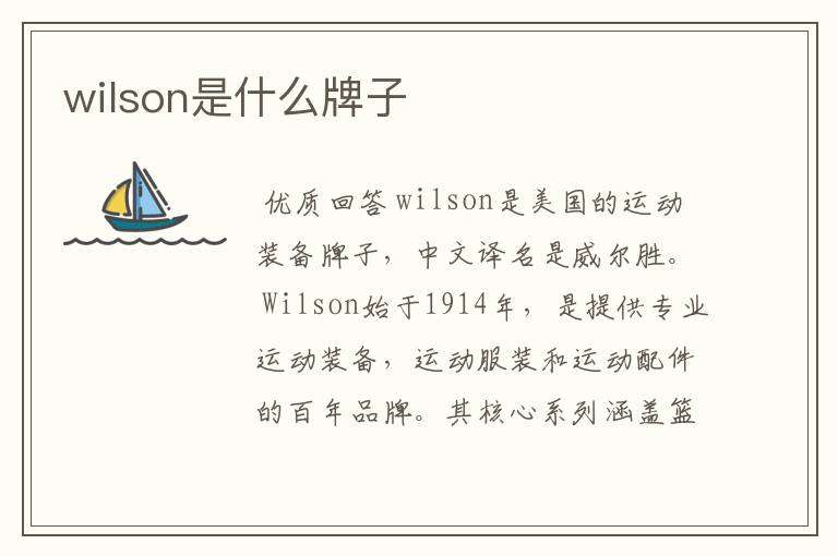 wilson是什么牌子