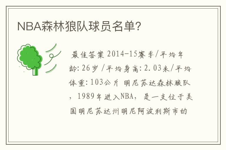 NBA森林狼队球员名单？