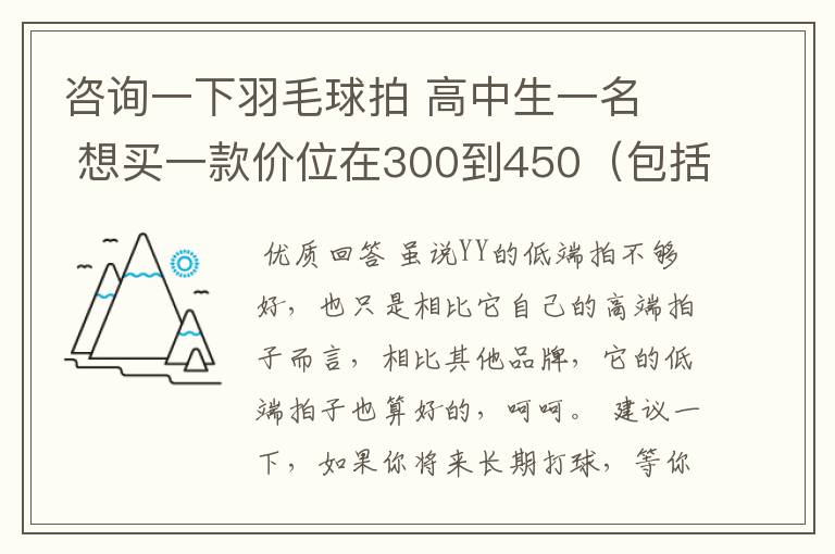 咨询一下羽毛球拍 高中生一名  想买一款价位在300到450（包括拍线和手胶.