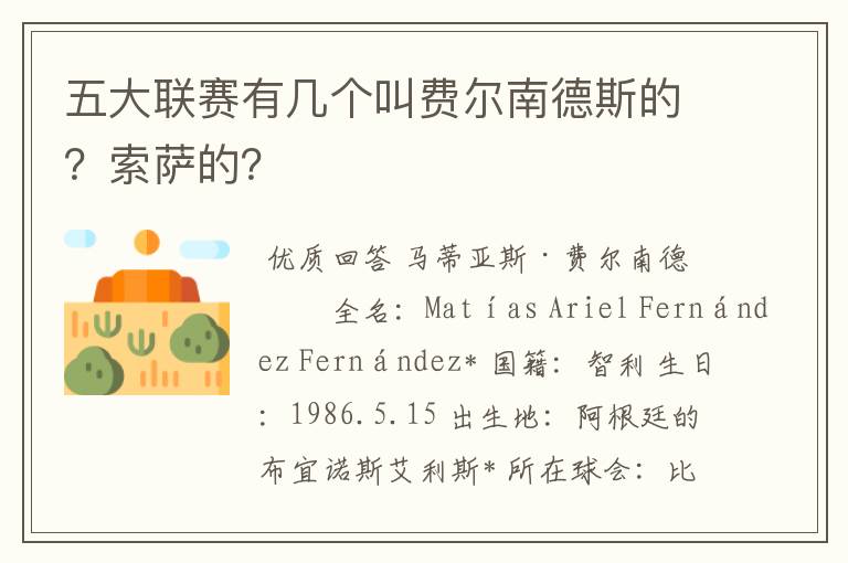 五大联赛有几个叫费尔南德斯的？索萨的？