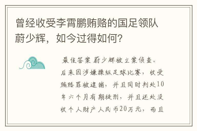 曾经收受李霄鹏贿赂的国足领队蔚少辉，如今过得如何？