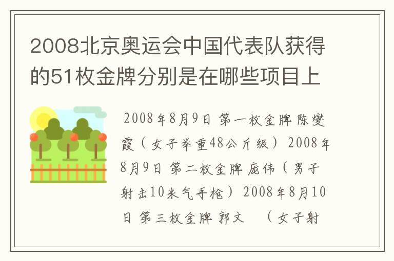 2008北京奥运会中国代表队获得的51枚金牌分别是在哪些项目上获得的?