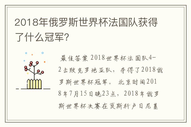 2018年俄罗斯世界杯法国队获得了什么冠军？