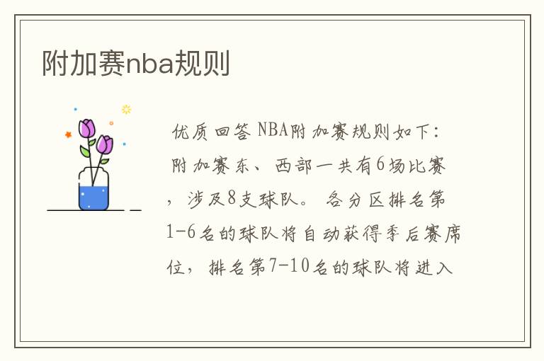 附加赛nba规则