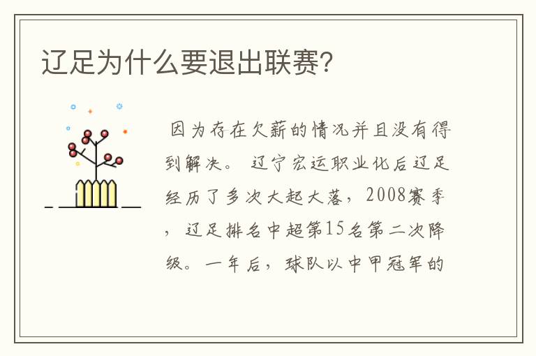 辽足为什么要退出联赛?
