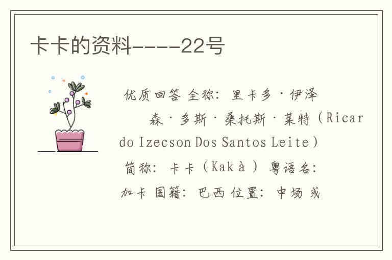卡卡的资料----22号