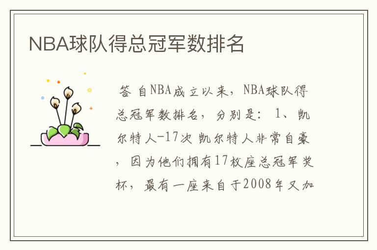 NBA球队得总冠军数排名