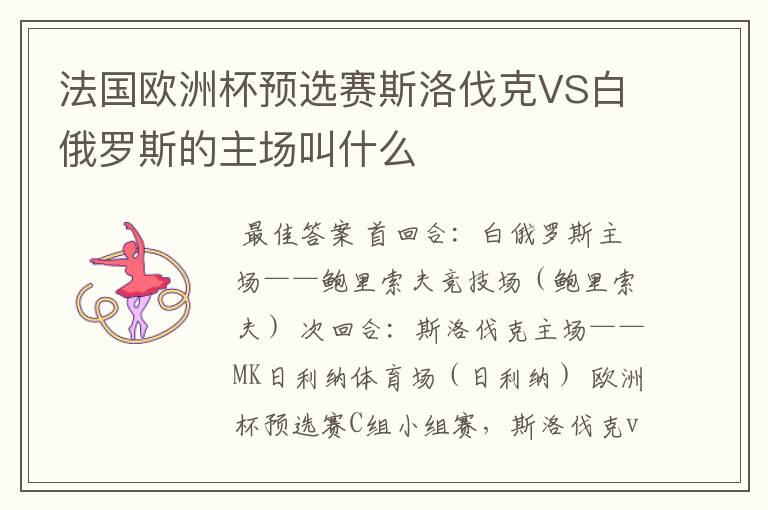 法国欧洲杯预选赛斯洛伐克VS白俄罗斯的主场叫什么