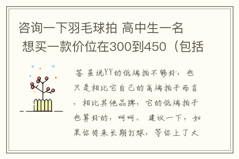 咨询一下羽毛球拍 高中生一名  想买一款价位在300到450（包括拍线和手胶.