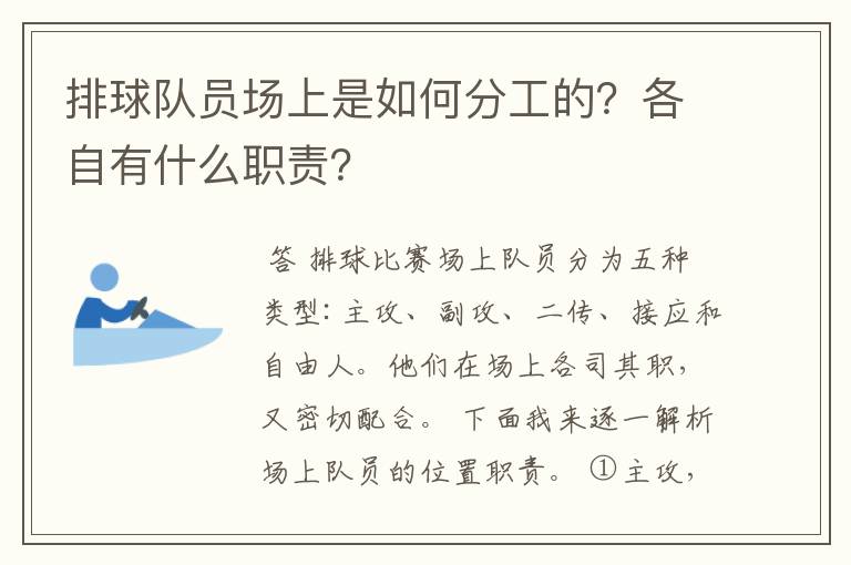 排球队员场上是如何分工的？各自有什么职责？