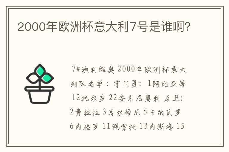 2000年欧洲杯意大利7号是谁啊？