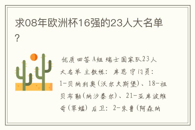 求08年欧洲杯16强的23人大名单？