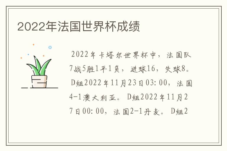 2022年法国世界杯成绩