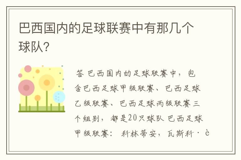 巴西国内的足球联赛中有那几个球队？