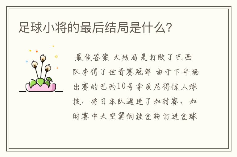 足球小将的最后结局是什么？