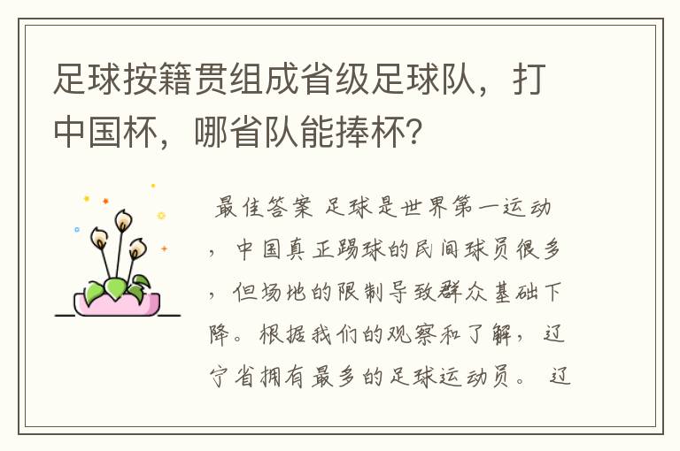 足球按籍贯组成省级足球队，打中国杯，哪省队能捧杯？