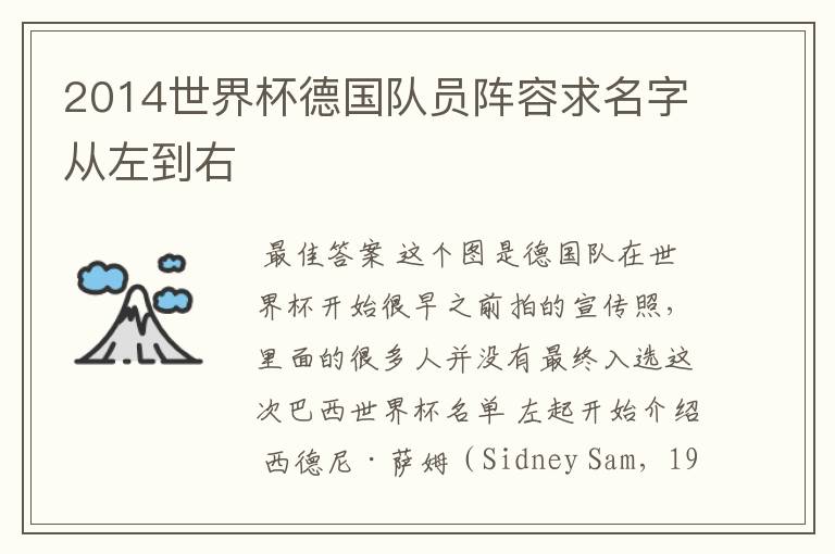 2014世界杯德国队员阵容求名字从左到右