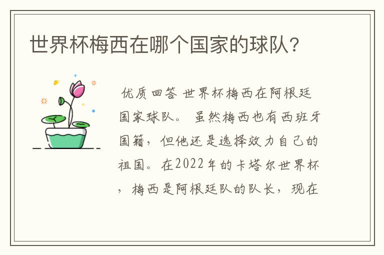 世界杯梅西在哪个国家的球队?