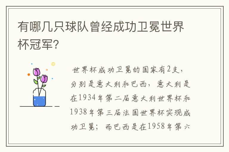 有哪几只球队曾经成功卫冕世界杯冠军？