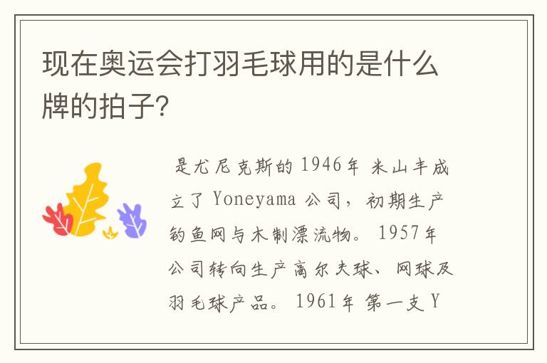 现在奥运会打羽毛球用的是什么牌的拍子？