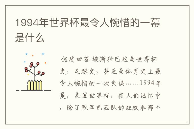 1994年世界杯最令人惋惜的一幕是什么