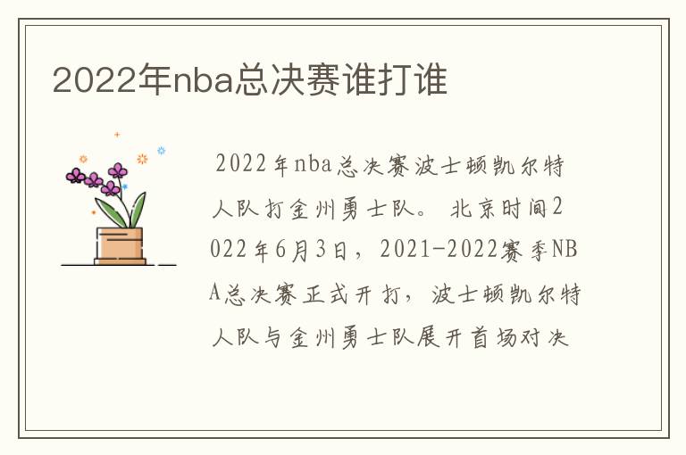 2022年nba总决赛谁打谁